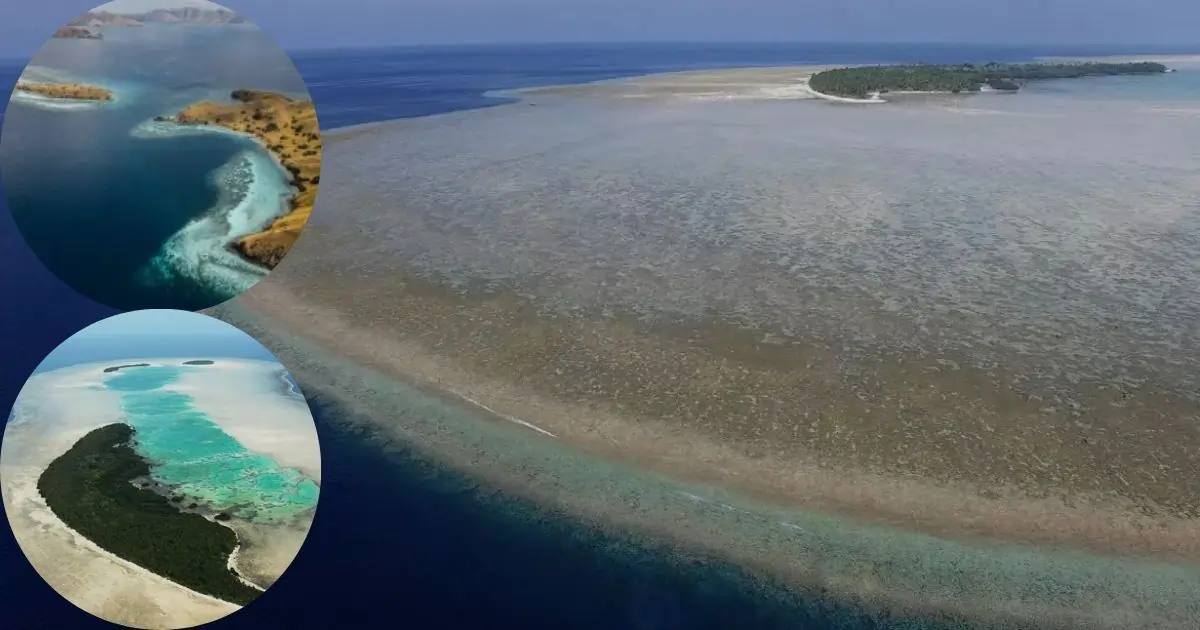 Beach-Exploration& Photography