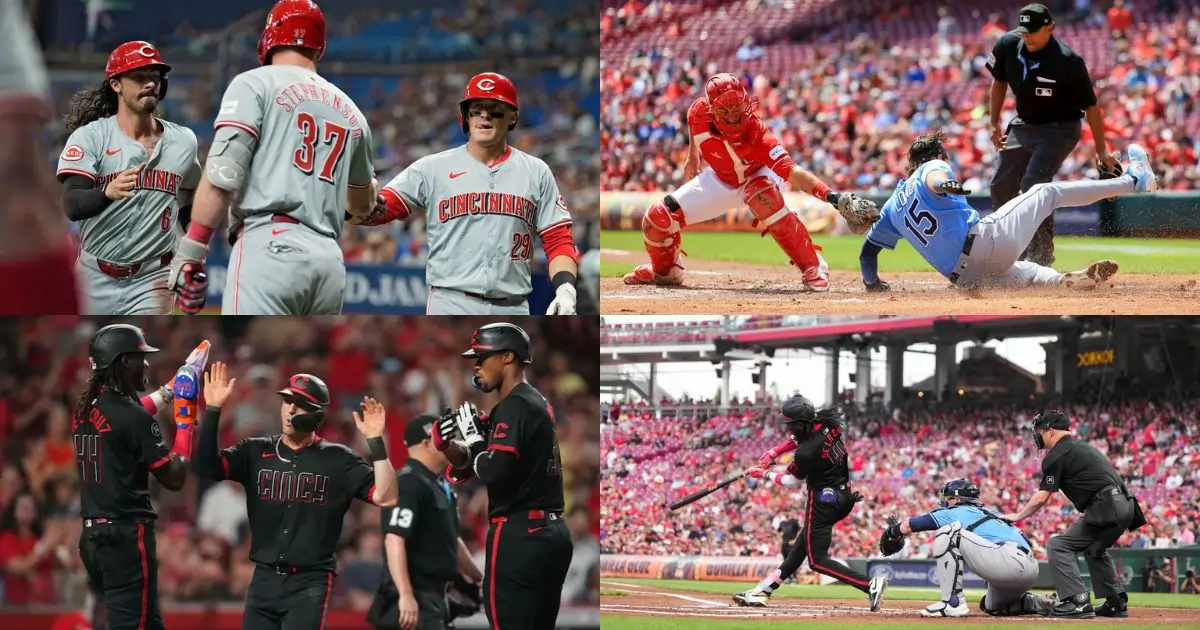 Cincinnati Reds vs Tampa Bay Rays Match Highlights