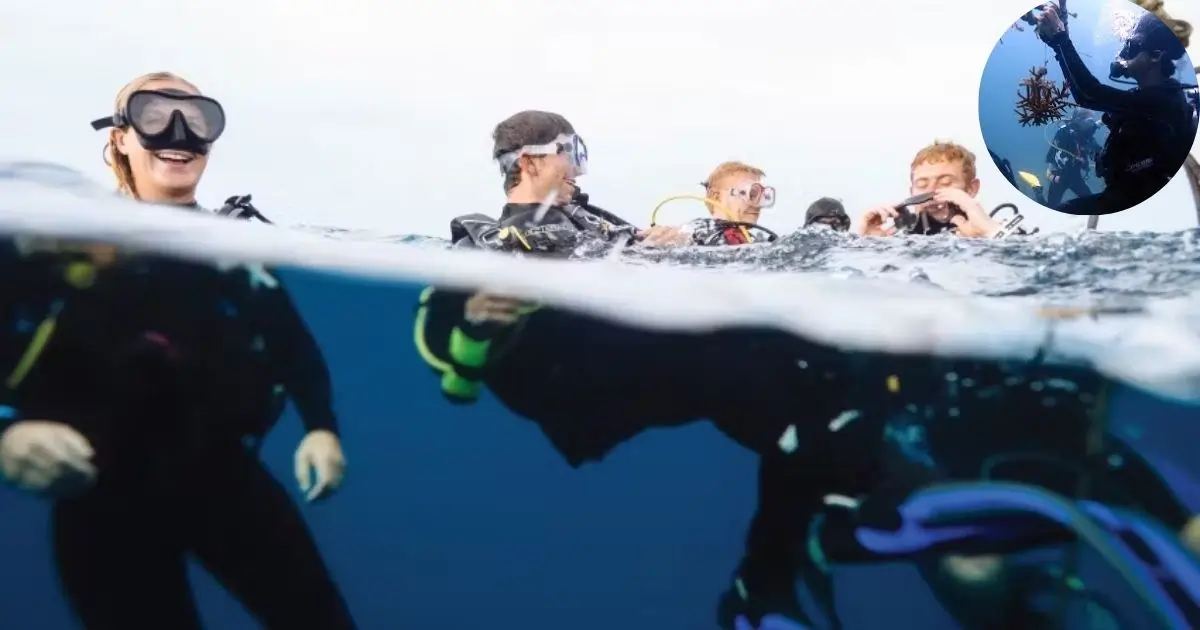 Marine-Research-&-Conservation-Volunteering