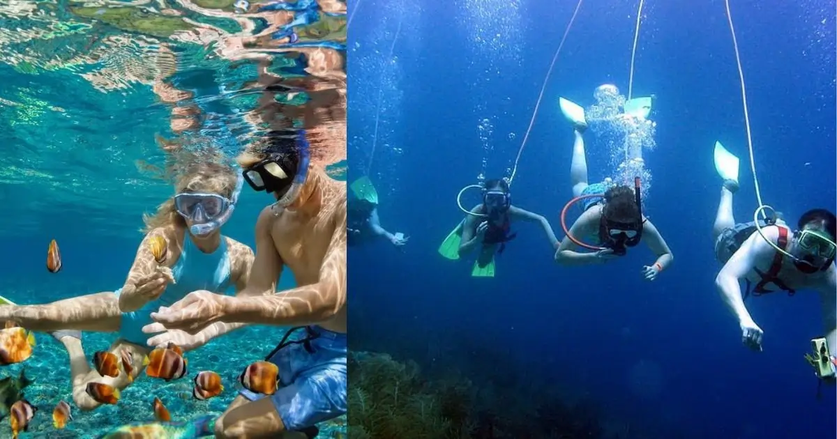 Scuba Diving & Snorkeling