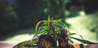 How Can CBD Oil Help Manage Muscle Soreness For Athletes? Muscle-Soreness