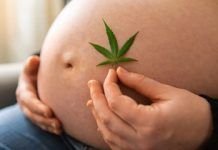 The Delicate Discussion of Cannabis during Pregnancy Cannabis during Pregnancy