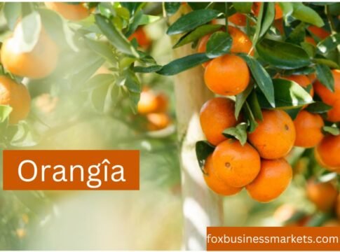 Orangîa