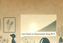 Cat Pose or Downward Dog NYT