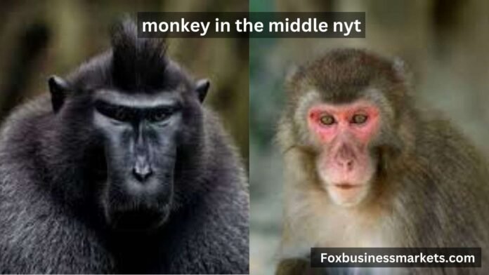 monkey in the middle nyt