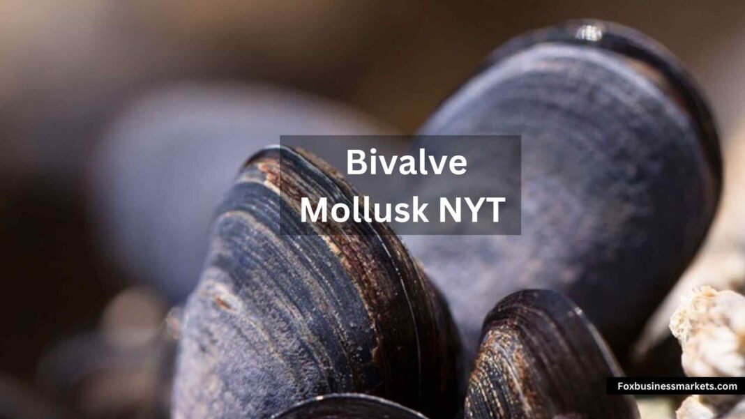 Bivalve-Mollusk-NYT Bivalve Mollusk NYT