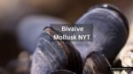 Bivalve Mollusk NYT | Crossword Clue Answer Bivalve Mollusk NYT
