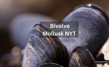 Bivalve Mollusk NYT | Crossword Clue Answer Bivalve Mollusk NYT
