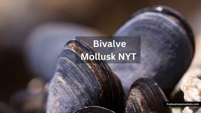 Bivalve Mollusk NYT