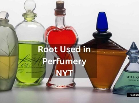 Root Used in Perfumery NYT