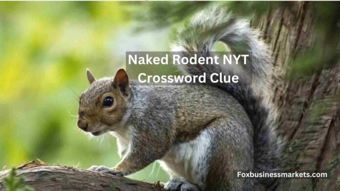 Naked Rodent NYT Crossword Clue