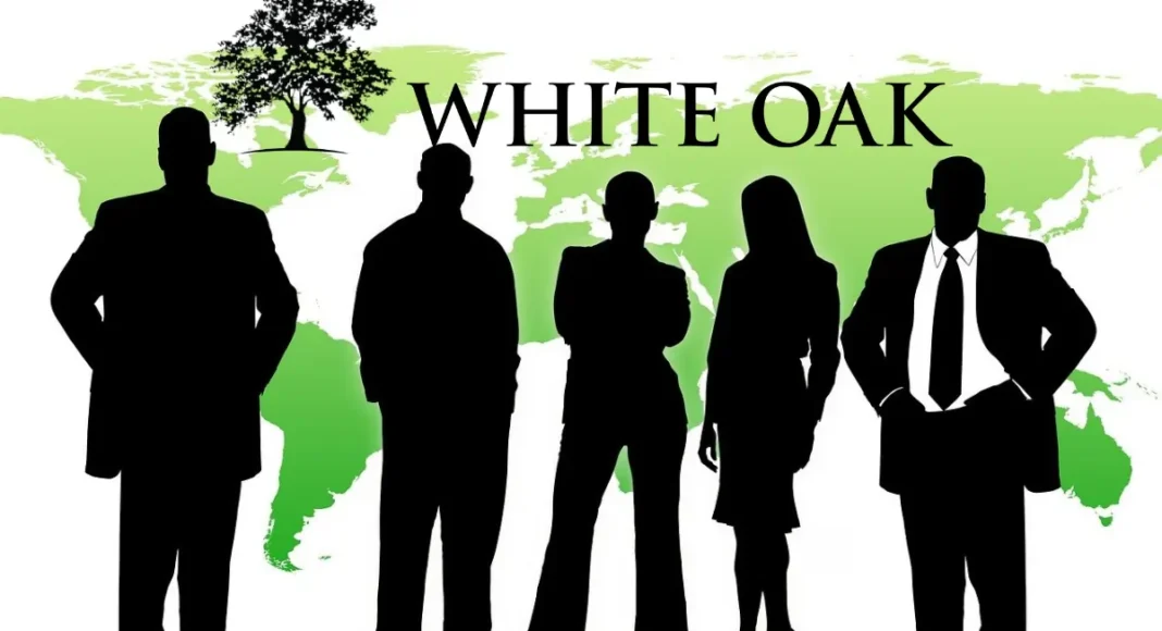 White Oak Global Advisors LLC | Strategic Private Credit Solutions