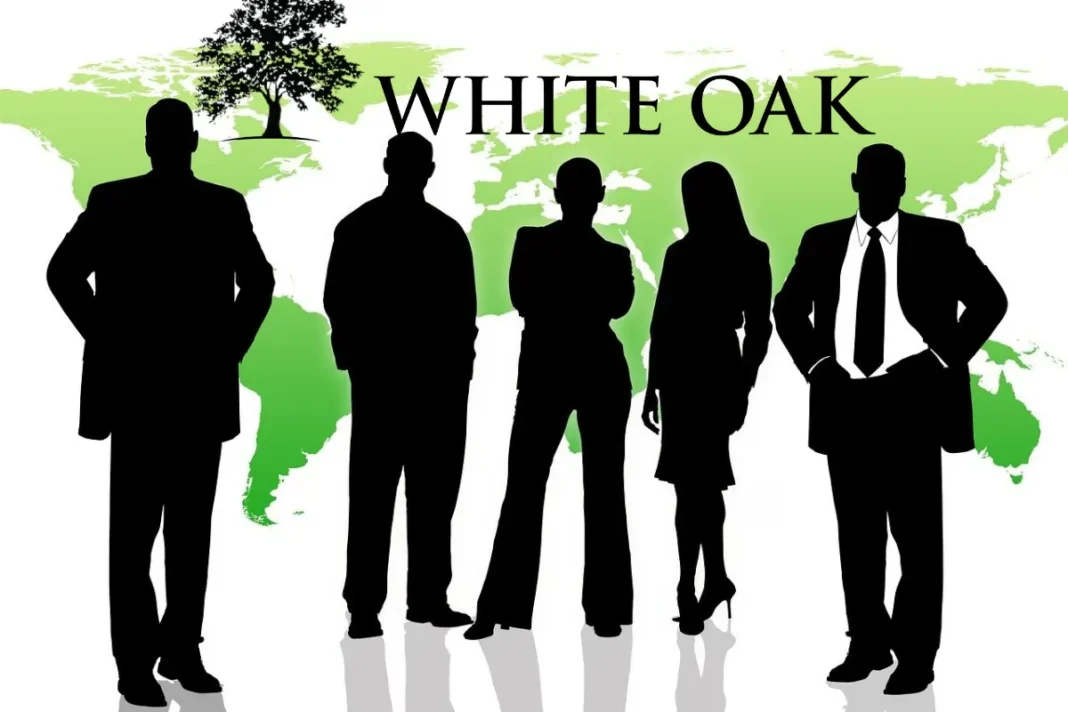 White Oak Global Advisors LLC | Strategic Private Credit Solutions