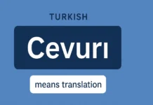 Everything You Need to Know About Cevurı (2025)