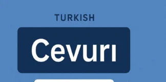 Everything You Need to Know About Cevurı (2025)
