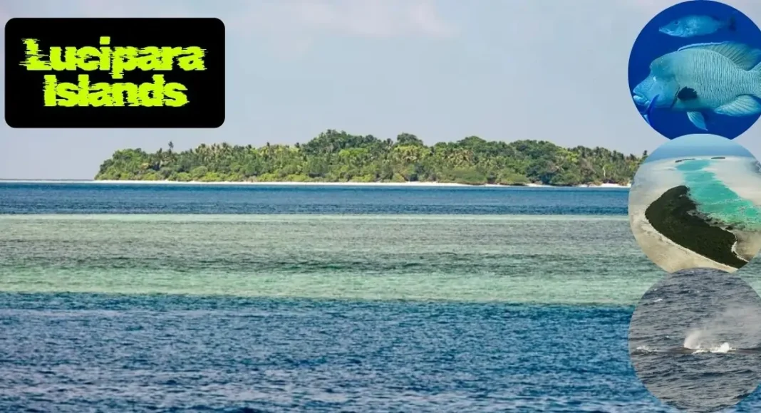 Lucipara Islands: 5 Best Things to Do & Nearby Attractions Guide 2025