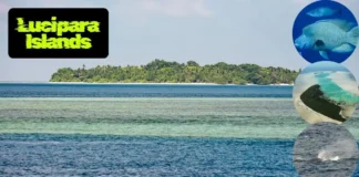 Lucipara Islands: 5 Best Things to Do & Nearby Attractions Guide 2025