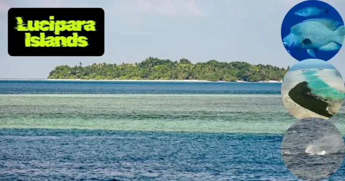 Lucipara Islands: 5 Best Things to Do & Nearby Attractions Guide 2025