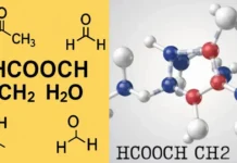 What is HCOOCH CH₂ H₂O? Meaning, Reaction & Uses