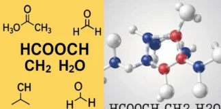 What is HCOOCH CH₂ H₂O? Meaning, Reaction & Uses