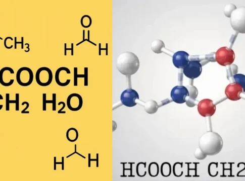 What is HCOOCH CH₂ H₂O? Meaning, Reaction & Uses