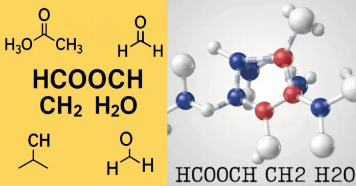 hcooch ch2 h2o What is HCOOCH CH₂ H₂O? Meaning, Reaction & Uses