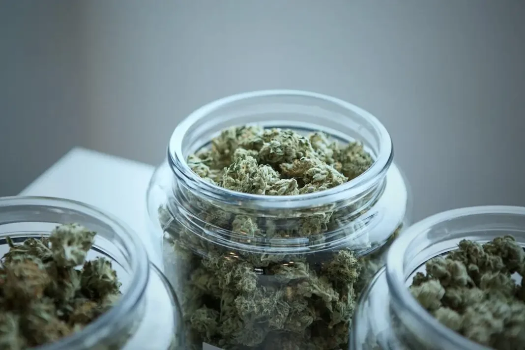 Patient Rights Under Ohio Medical Cannabis Laws