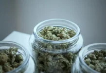 Patient Rights Under Ohio Medical Cannabis Laws Patient Rights Under Ohio Medical Cannabis Laws