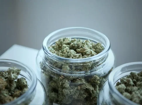 Patient Rights Under Ohio Medical Cannabis Laws