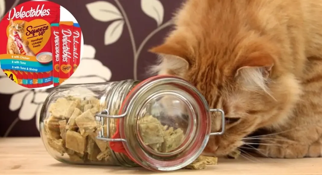 10 Best Cat Treats Guide 2025: Healthy & Safe Snacks for Cats