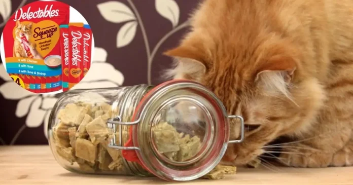 10 Best Cat Treats Guide 2025: Healthy & Safe Snacks for Cats