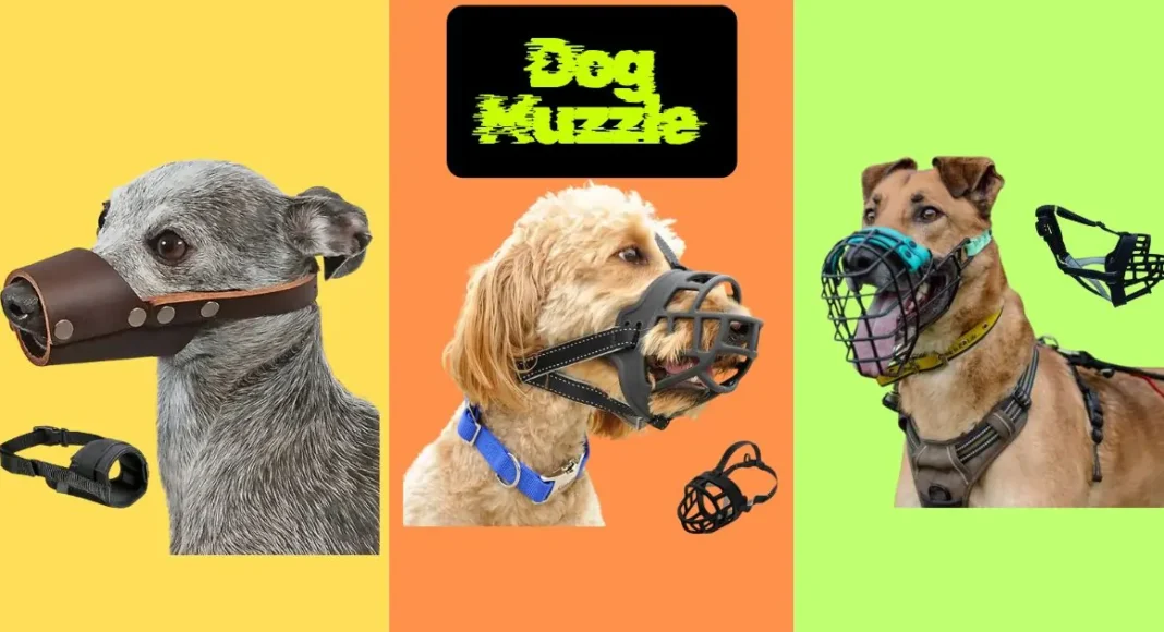5 Best Dog Muzzles for Every Breed Under $15: Stop Biting & Licking Safely