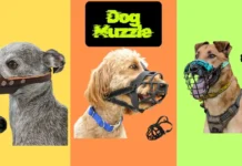 5 Best Dog Muzzles for Every Breed Under $15: Stop Biting & Licking Safely 5 Best Dog Muzzles for Every Breed Under $15: Stop Biting & Licking Safely