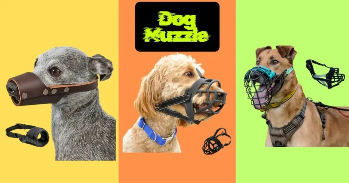 5 Best Dog Muzzles for Every Breed Under $15: Stop Biting & Licking Safely