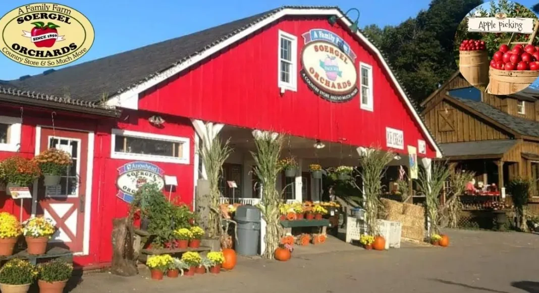 Soergel Orchards Guide: Apple Picking, Fall Festival and Farm Market in Wexford, PA
