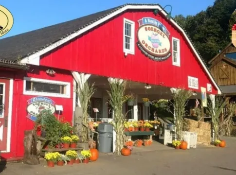 Soergel Orchards Fall Festival 2025: Events, Apple Picking & Family Fun