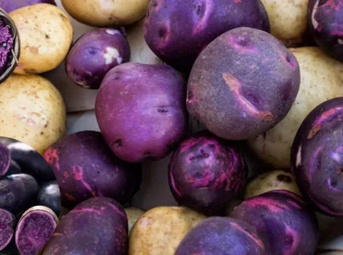 Where to Buy Purple Potatoes: Nutrition, Benefits & Cooking Guide 2025