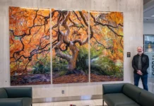 How large format wall art transforms interior spaces: a buyer's guide