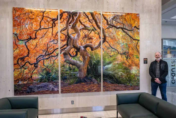 How large format wall art transforms interior spaces: a buyer's guide