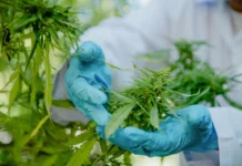 Can Medical Cannabis Help? 4 Science-Backed Benefits Can Medical Cannabis Help? 4 Science-Backed Benefits