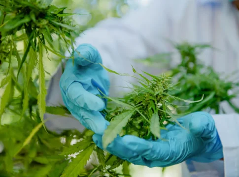 Can Medical Cannabis Help? 4 Science-Backed Benefits