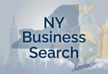 New York LLC Search: How to Search and Verify Business Records New York LLC search