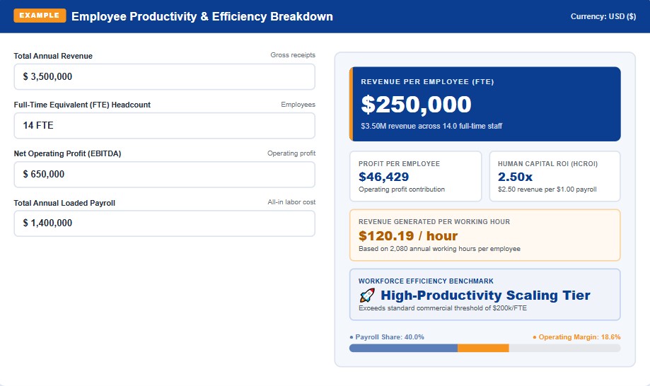 Employee productivity calculator worked example showing revenue per employee, profit per employee, and human capital ROI
